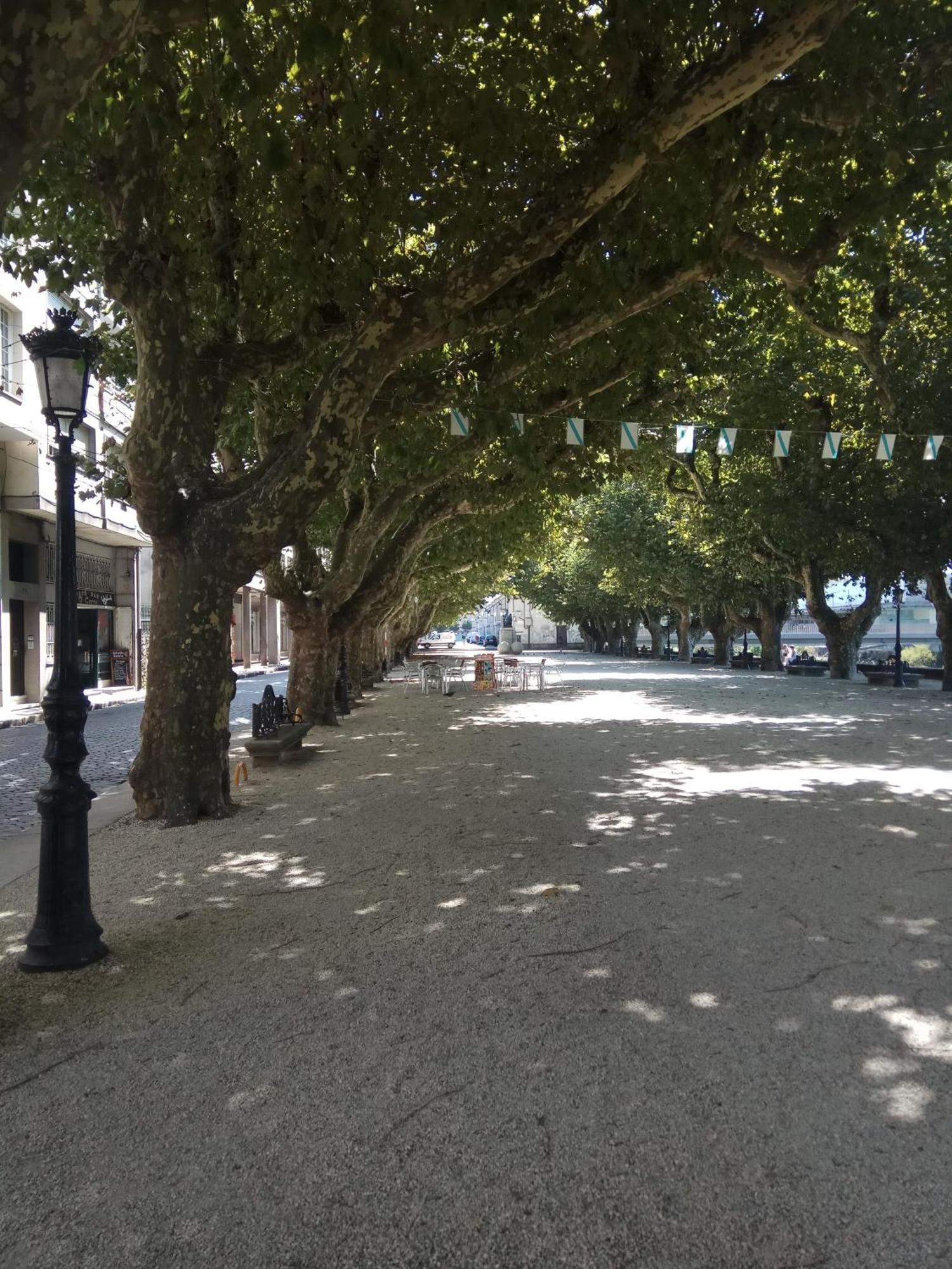 El Rincon De Luz Lägenhet Padrón Exteriör bild
